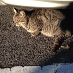 【iOS】Google Analytics iOS SDK v3ものすご単に設置する法